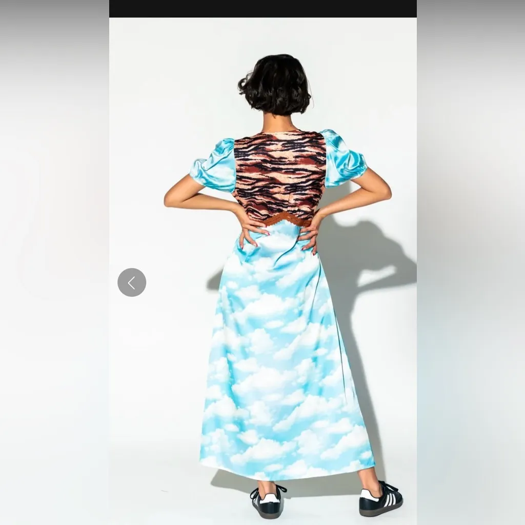 Dressed in Lala Serendipitous Dress in Tiger + Cloud Size L - Image 3