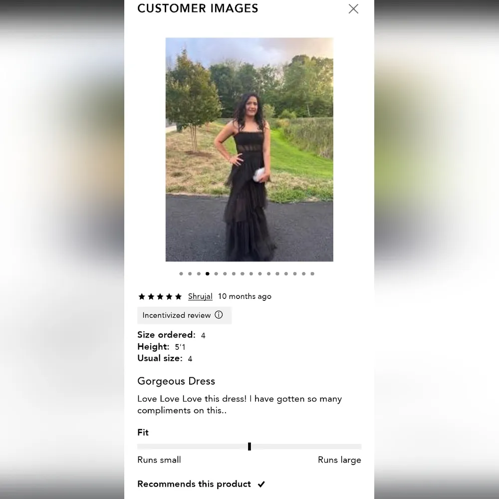 BCBGMaxazria NWT Tulle Corset Gown 12 - Image 11