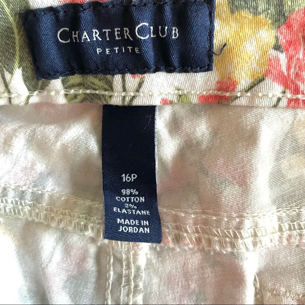 Bristol Skinny Ankle Jeans Skinny 16P - Image 14