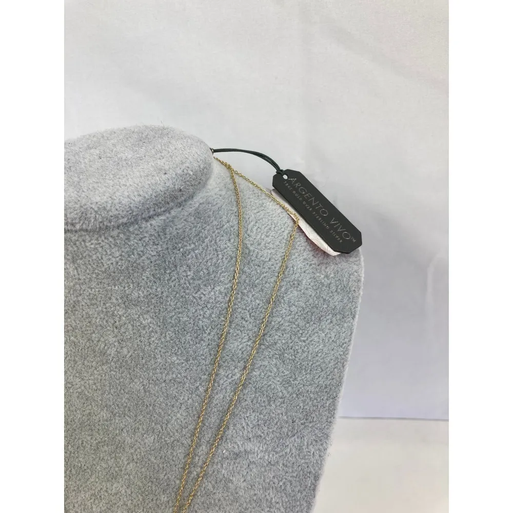 Argento Vivo NWT  Layered Gold Drop Necklace - Image 4