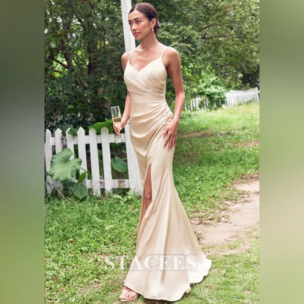 STACEES Sheath/Column V Neck Sleeveless Floor - Image 3