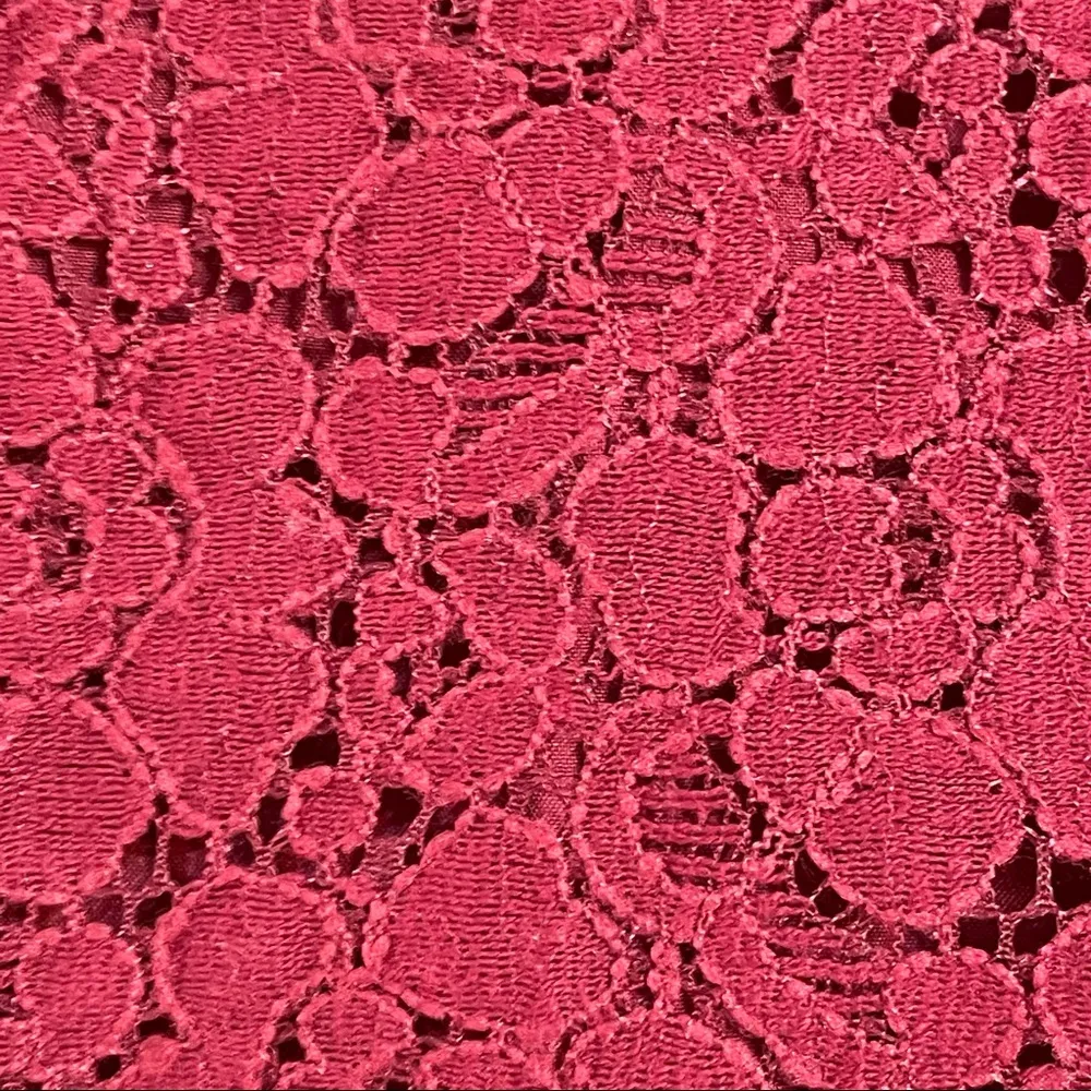 Banana Republic Sleeveless Burgundy Lace Top - Image 7