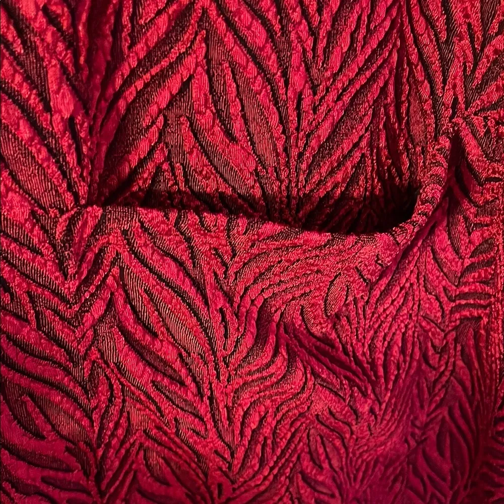 Lularoe Red with Black Lining Medium Sarah from the Elegant Series - Image 3