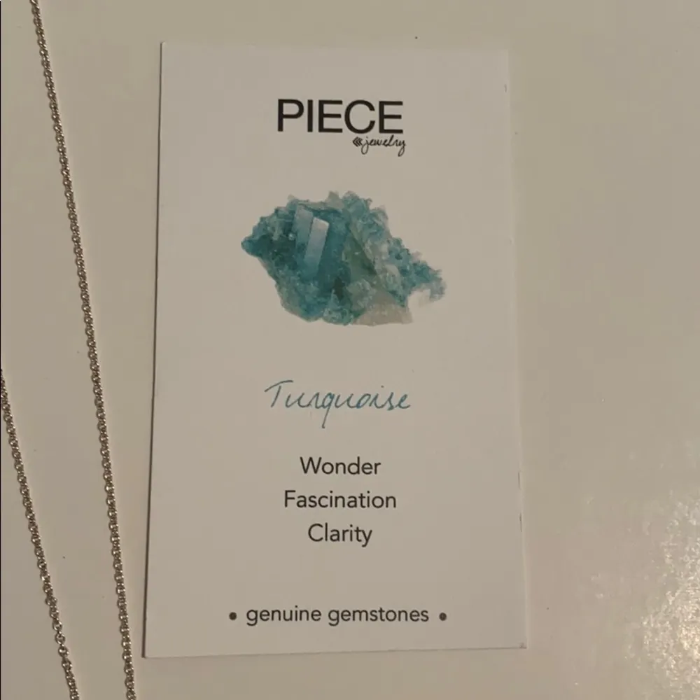 Turquoise Heart Zodiac Necklace♓️♐️♏️ Silver - Image 3