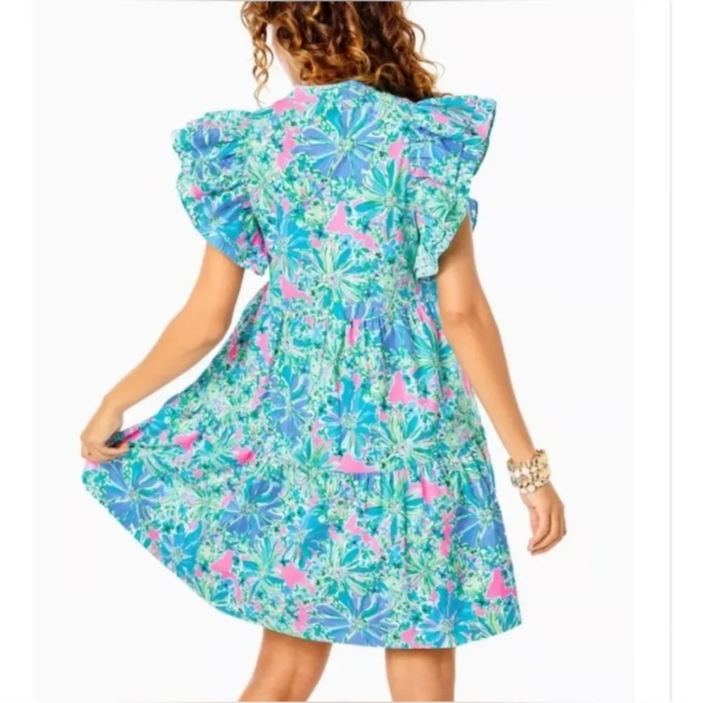 Lilly Pulitzer Aldena Ruffle Sleeve Cotton Dress Soleil Pink Good hare day small - Image 3