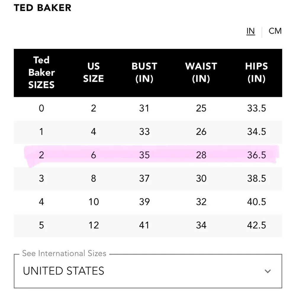 Ted Baker Ilva Full Skirted Mini Dress - Image 15