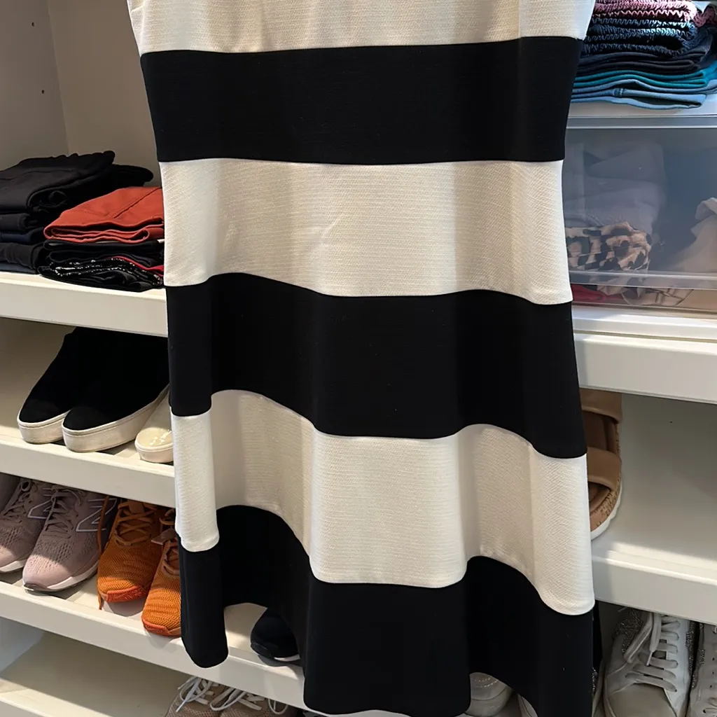 Ann Taylor size 10 cream and black zip up dress. EUC, I lost too much weight. - Image 3