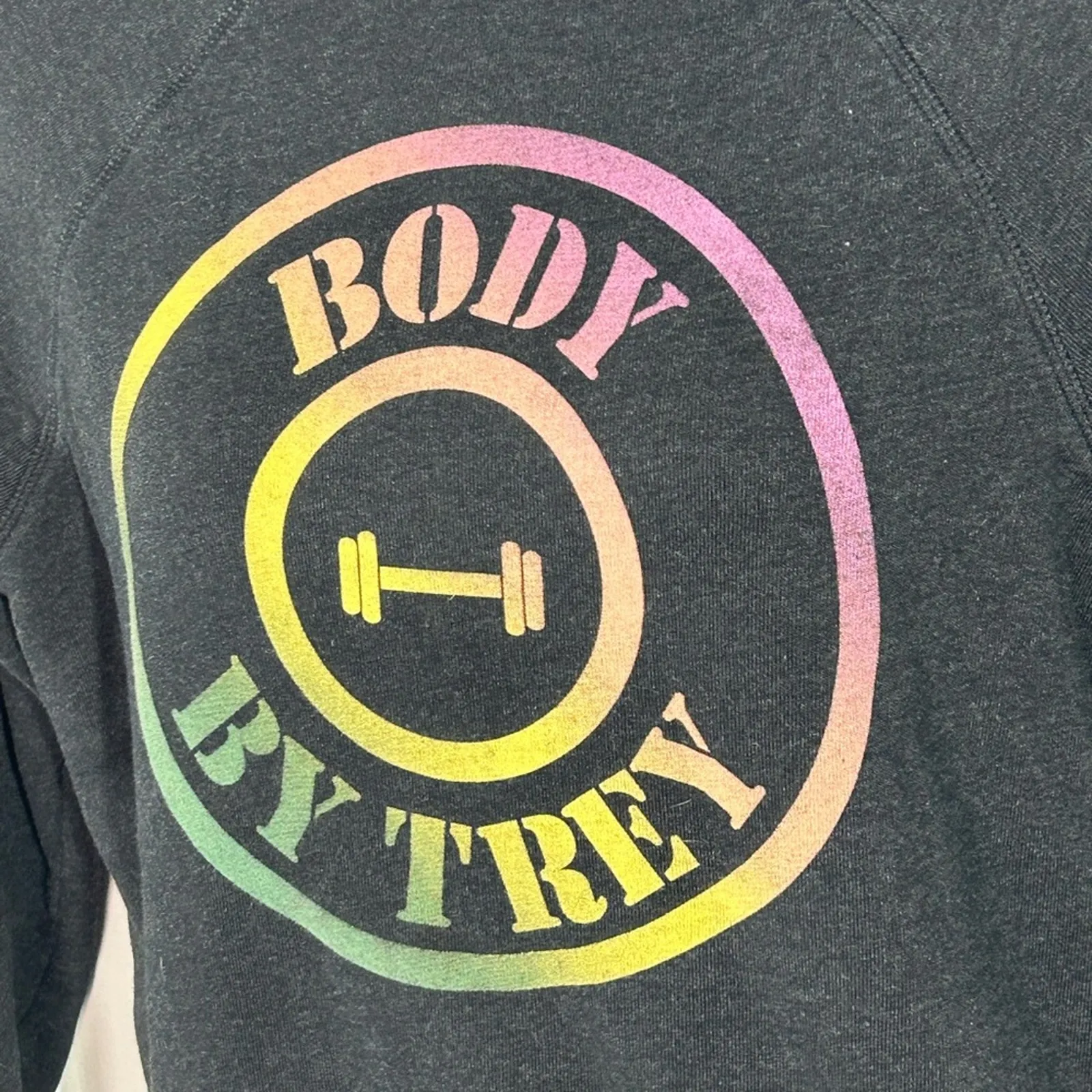 Wildfox “Body By Trey” Dark Grey Crewneck Sweatshirt Size XS - Image 10