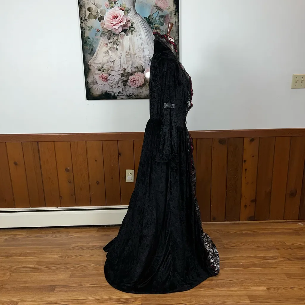 Funky Victorian Gothic Velvet Costume! - Image 7