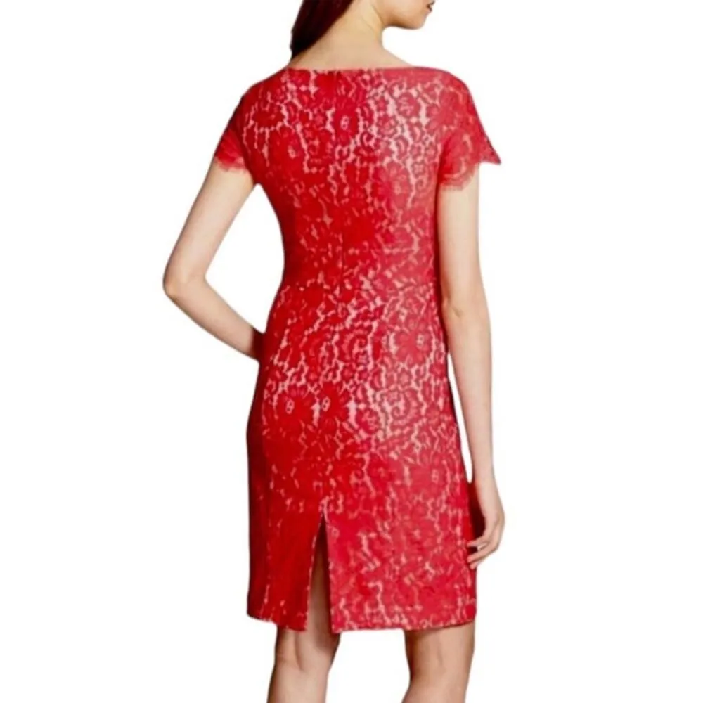 NWT Eliza J Coral Lace Cap Sleeve Surplice Neck Sheath Dress, sz 10 - Image 2