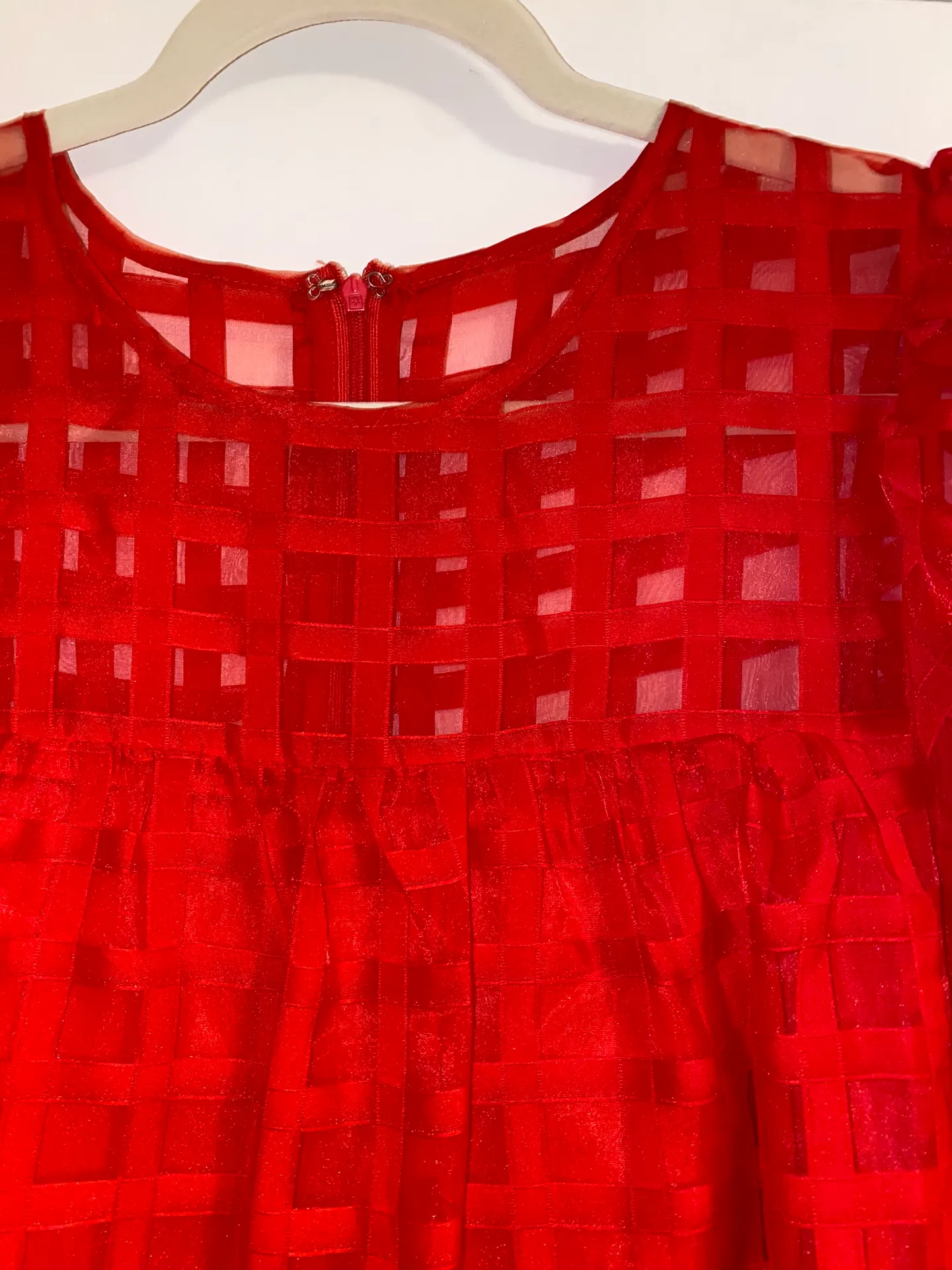 Red Organza Dress - Image 3