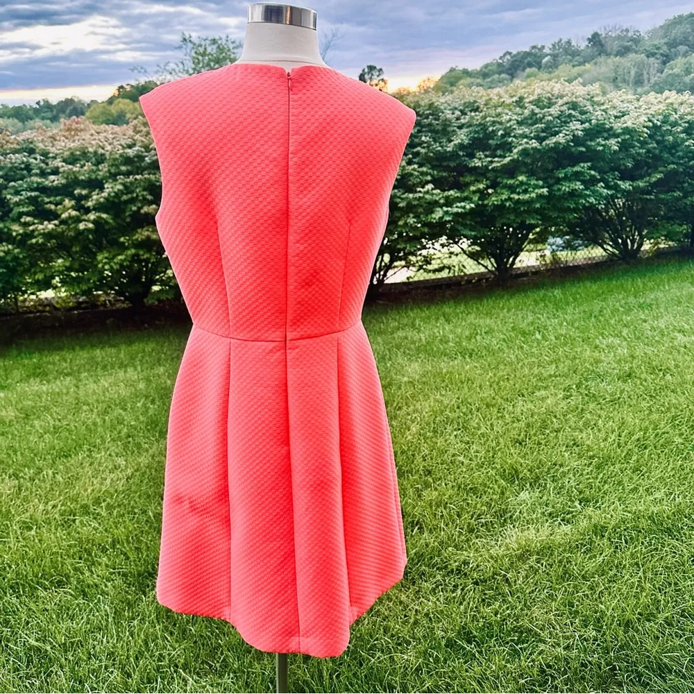 Tahari Arthur S. Levine Women Sleeveless Dress - Image 12