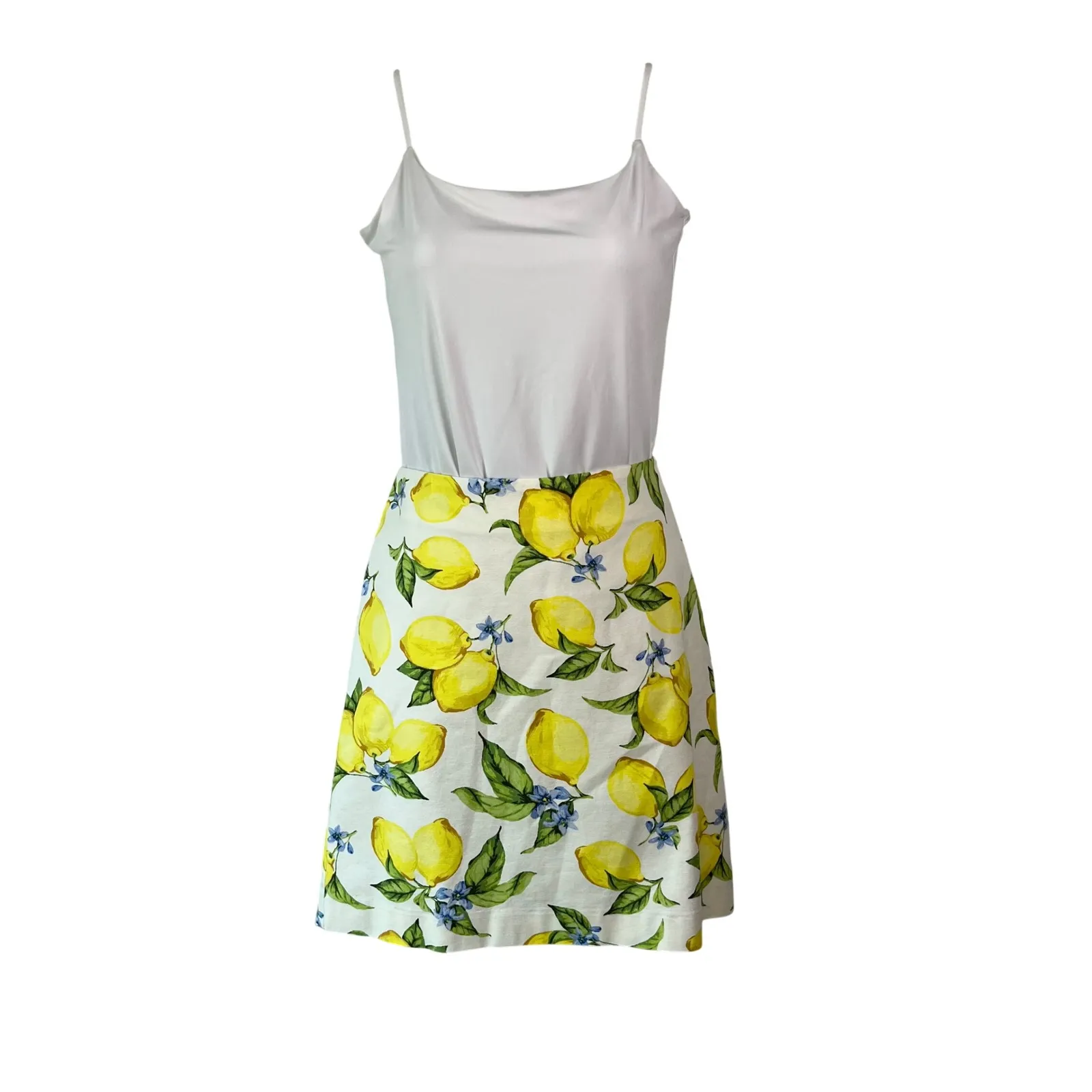 Talbots Lemon Blossom Canvas A-Line‎ Skirt Size 4 - Image 2
