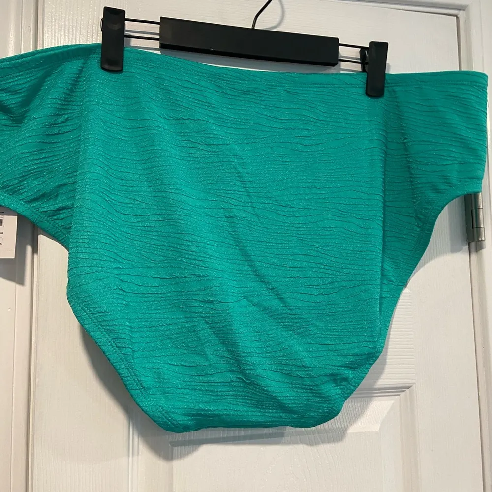 NWT Time & Tru Size 3X Jade Green Mid Rise Zebra Textured Bikini Bottoms - Image 3