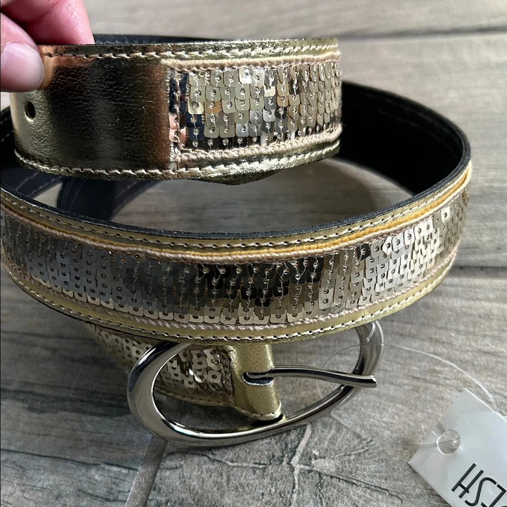 Gold sequin Belt with Silver Buckle - Image 3