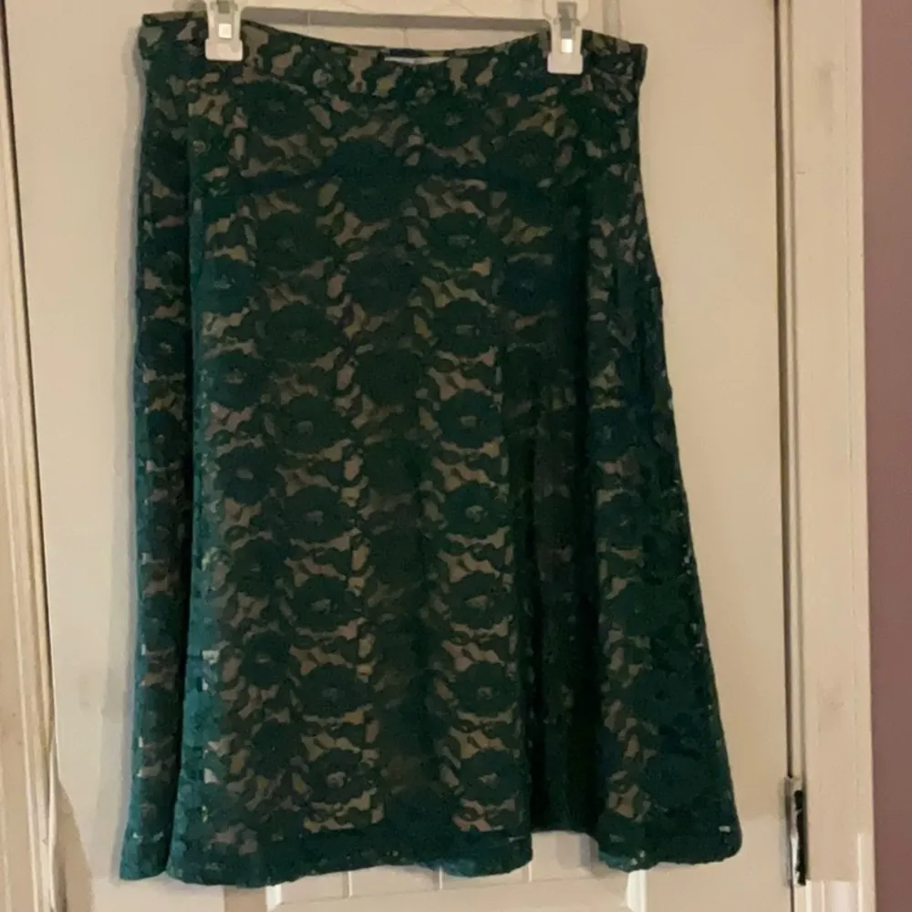WD- NY  Lace Skirt With Contrast Lining SZL NWOT - Image 2