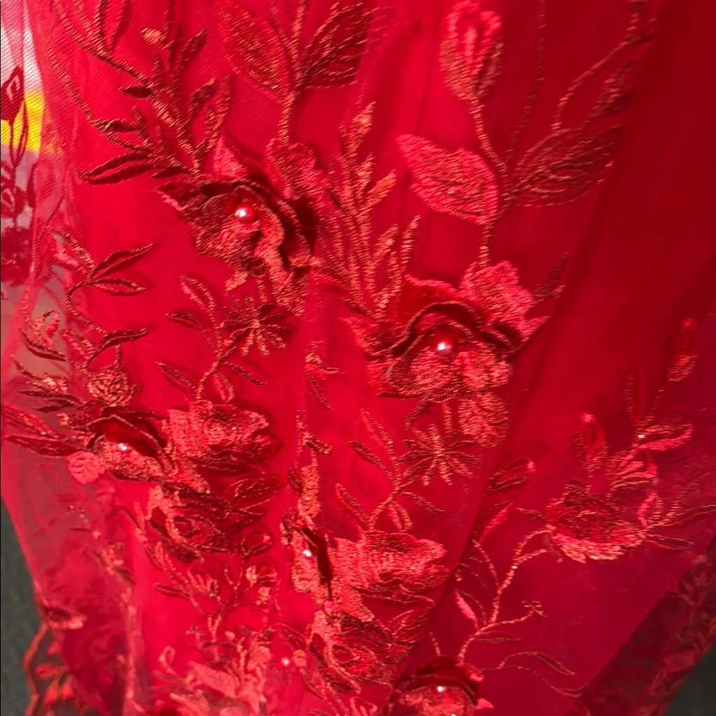 Stunning Red Floral Lace Prom Dress size 4 - Image 8