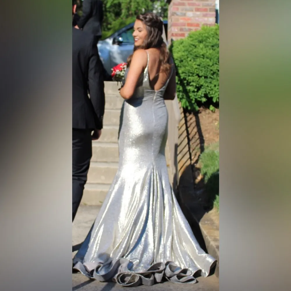 Jovani Silver/Goldish Dress with long, beautiful train - Image 2