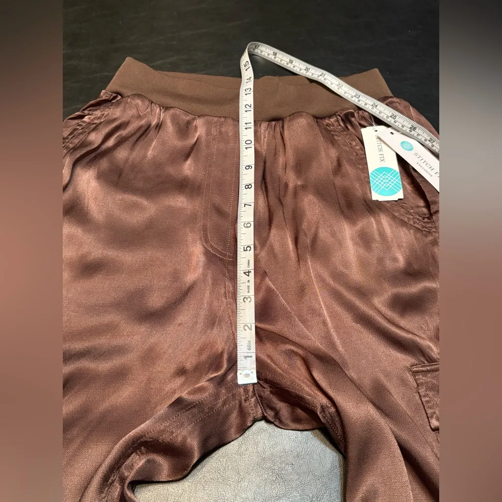 Pistola Rowan High Rise Washed Satin Straight Brown - M Stitchfix Exclusive NWT - Image 11