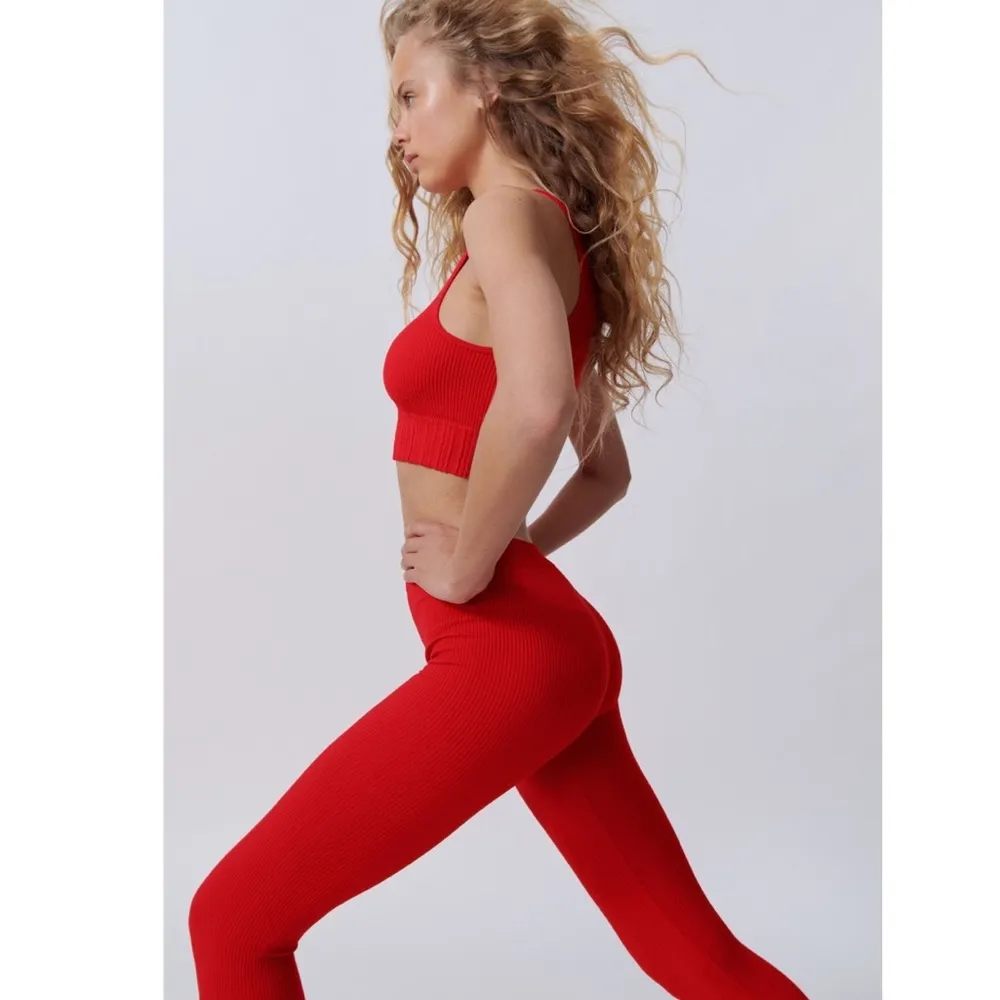 NWT ZARA SEAMLESS HIGH WAISTED RIBBED LEGGINGS FESTIVE HOLIDAY M-L - Image 2