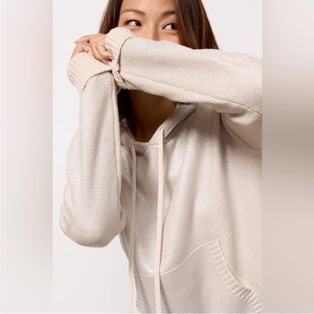 EVEREVE Aspen Metallic Silver Oatmeal Knit Hoodie Pullover Sweater size Small - Image 3