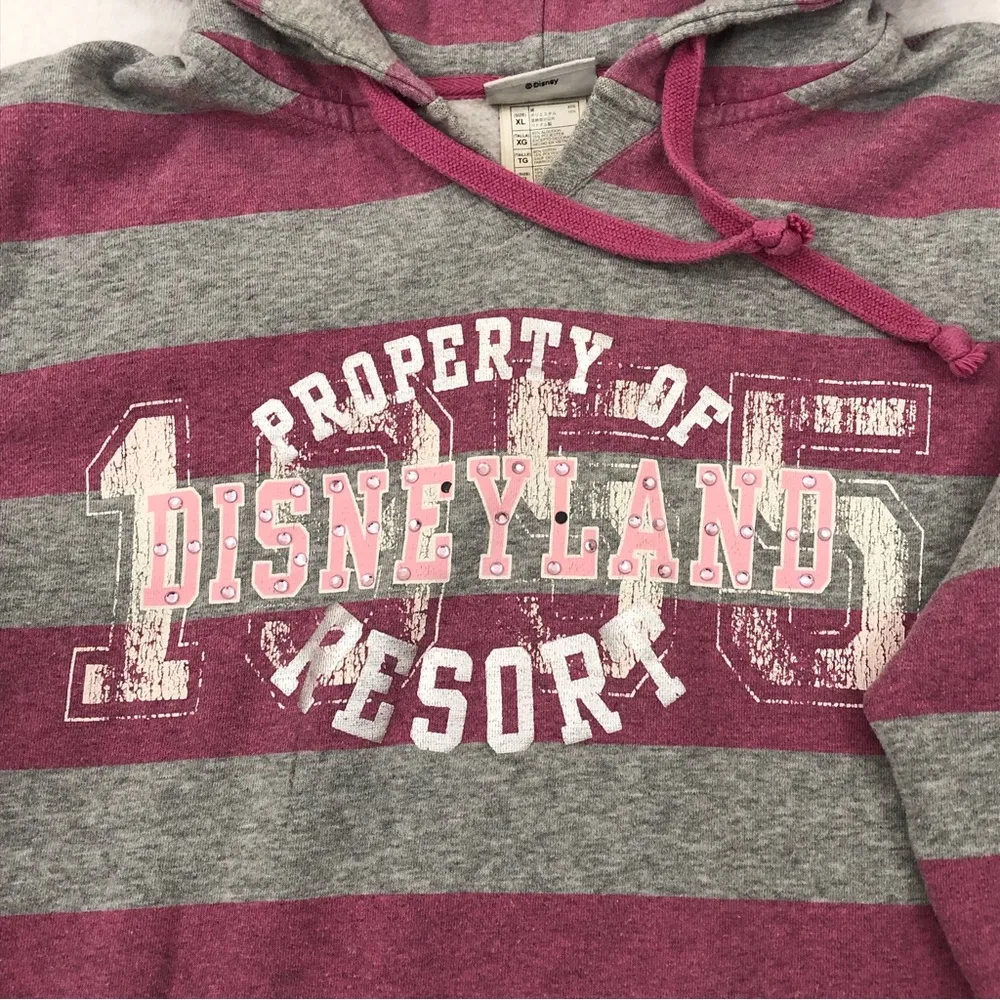 DISNEY PARKS Disneyland Resort Bling Striped Pink Gray Hoodie Sweatshirt Size XL - Image 3