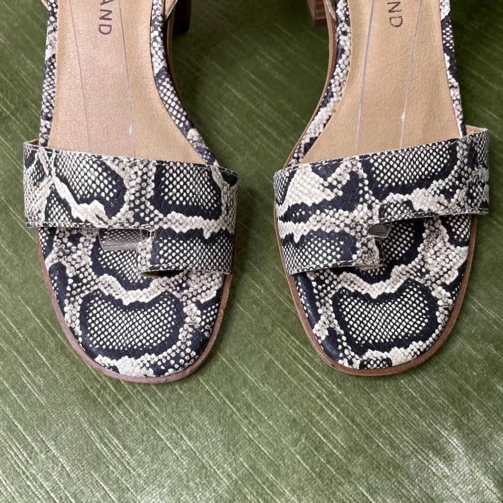 Lucky Brand Loklin Heeled Sandal Size 6 Snake Print Ankle Strap Chunky Heel New - Image 3