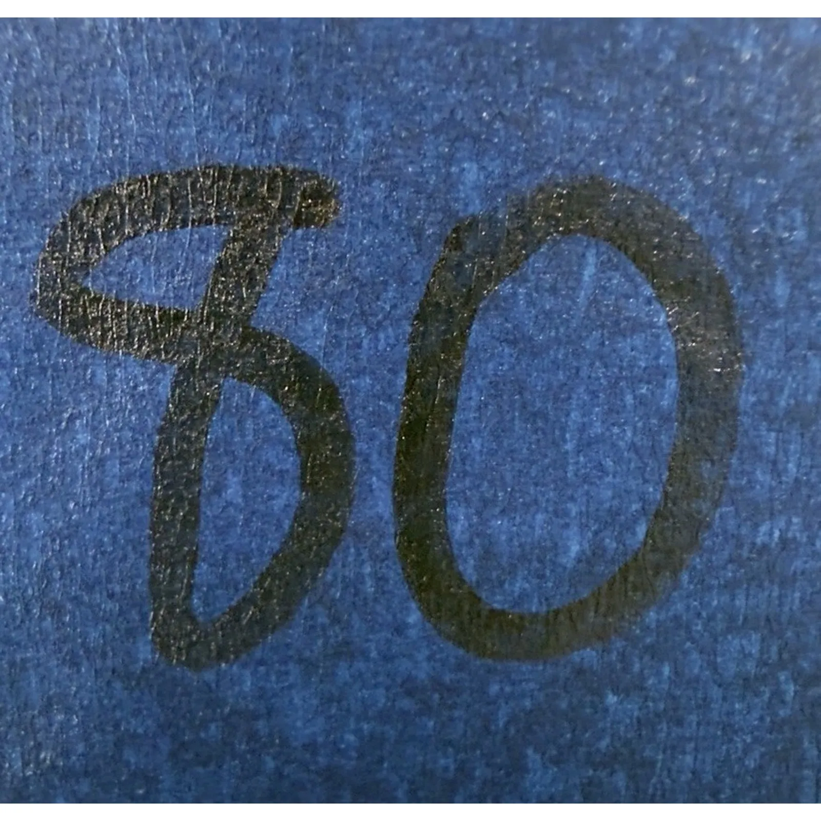 Agolde Parker Women’s Distressed Denim Shorts Size 24 High-Rise Cut-Off Blue - Image 12