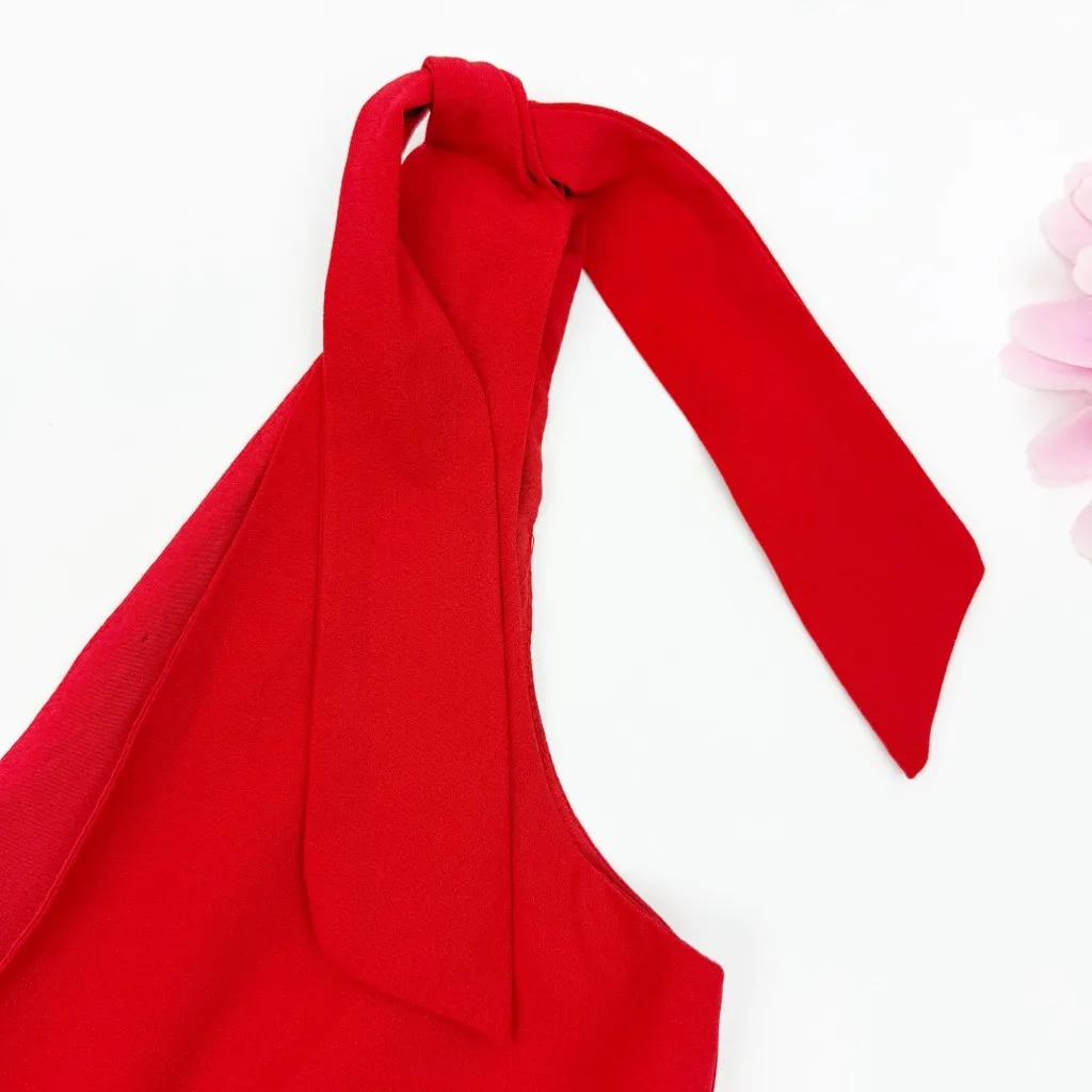 Pomander Place X Tuckernuck Babydoll Tie Shoulder Mini Dress Holiday Red - Image 8