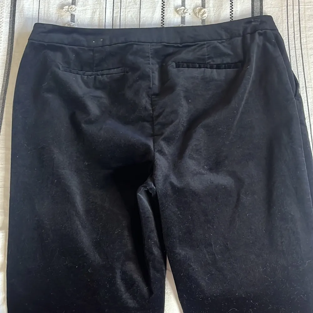 Charter club • velvet classic fit pants - Image 4