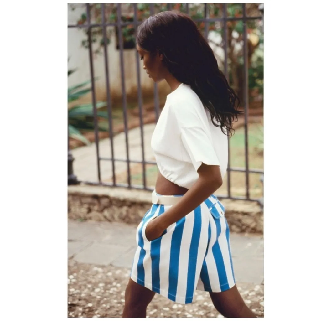 ANTHROPOLOGIE Maeve Parasol Stripe Blue & White Dad Shorts size 8 - Image 4