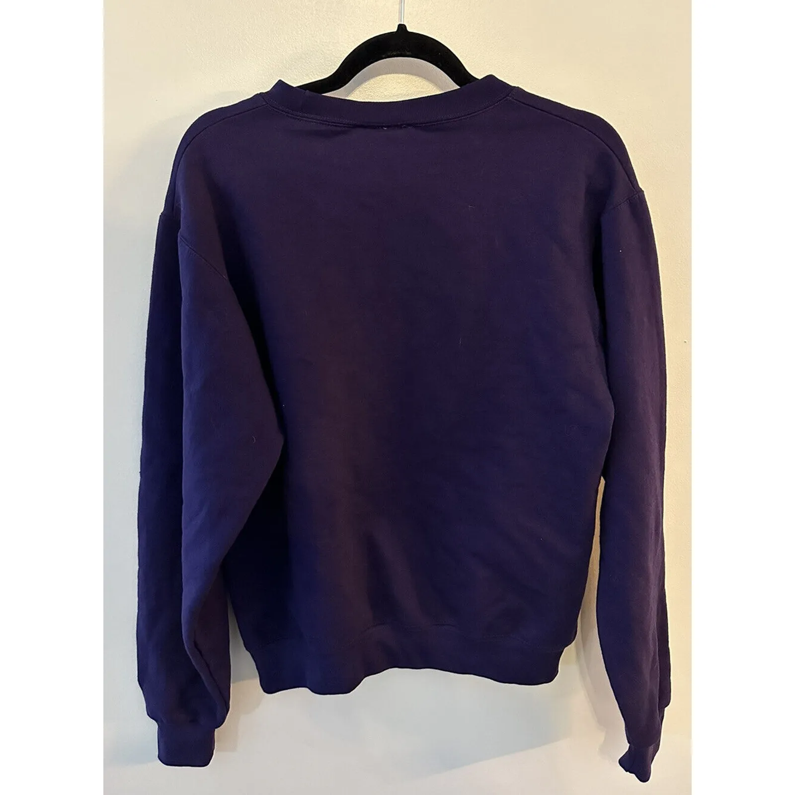 Cleveland’s Rock and Roll Hall of Fame Sweatshirt~Champion~Purple Size Small - Image 2