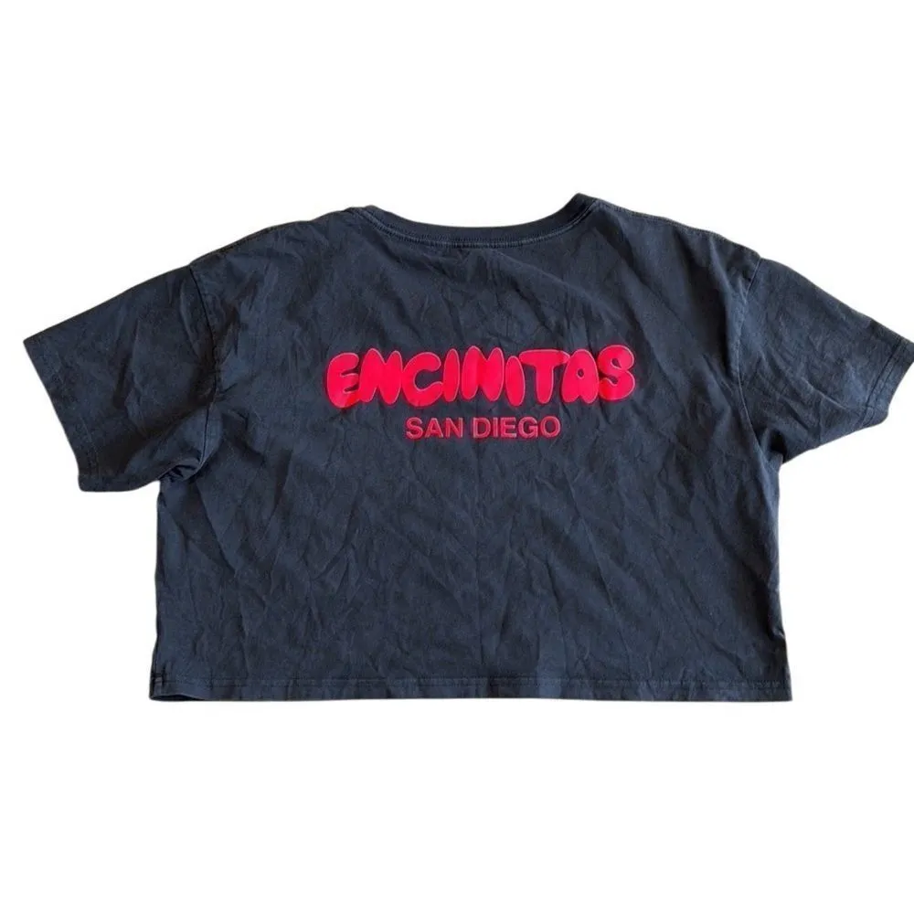 Ethos Encinitas California San Diego Cropped shirt Women’s Gray Large - Image 2