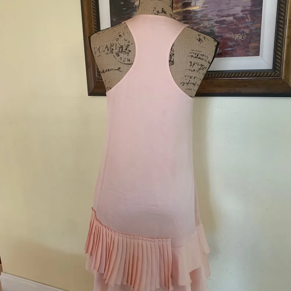 Banana Republic Pleated Ruffle Dress - Image 4