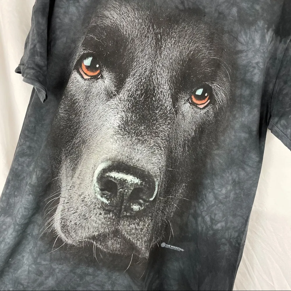 The Mountain Black Lab Tie Dye Graphic T-Shirt - Image 5
