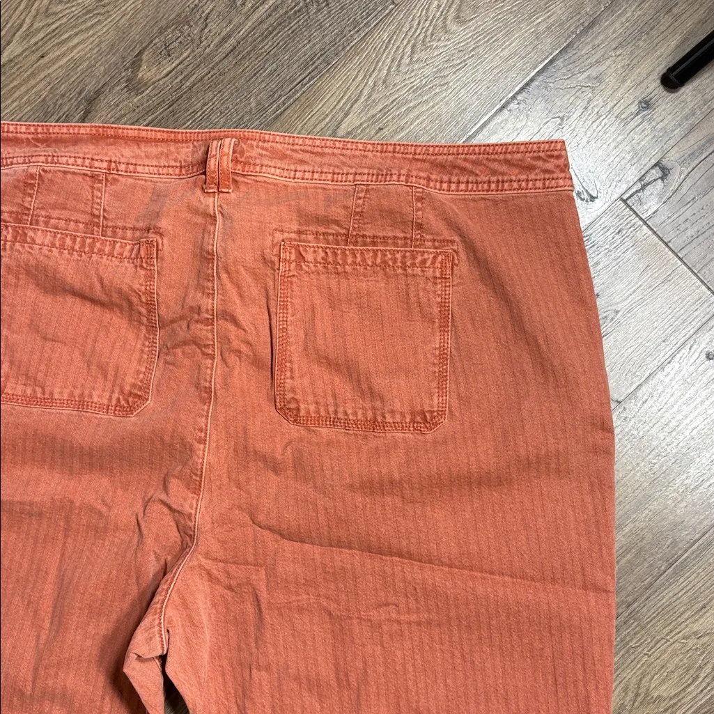 Anthropologie Herringbone Carpenter Soft Rust Pants NWT 22W - Image 11