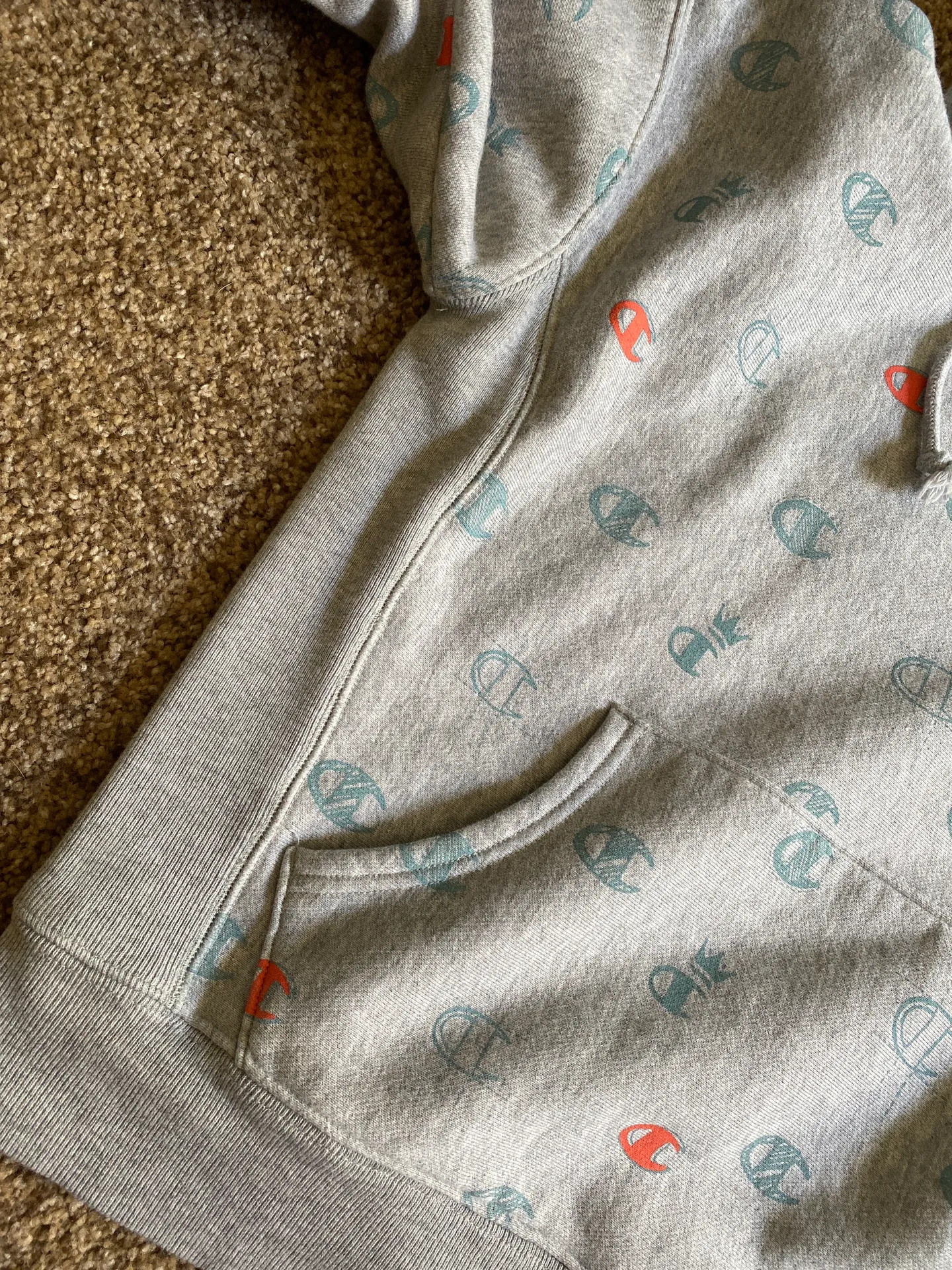 Champion Hoodie - Image 4