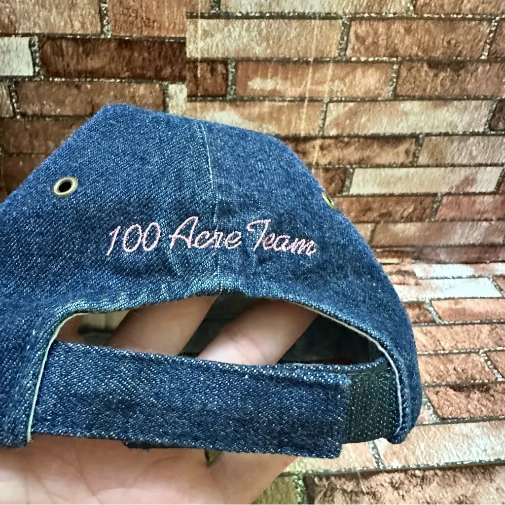 Disney Winnie The Pooh Blue Denim Varsity Cap - Image 8