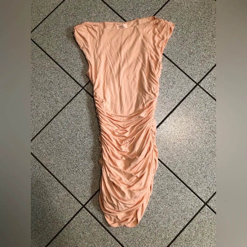 Camila Coelho Astella Ruched Side Mini Dress in Nude Peach Size XXS Bodycon - Image 3