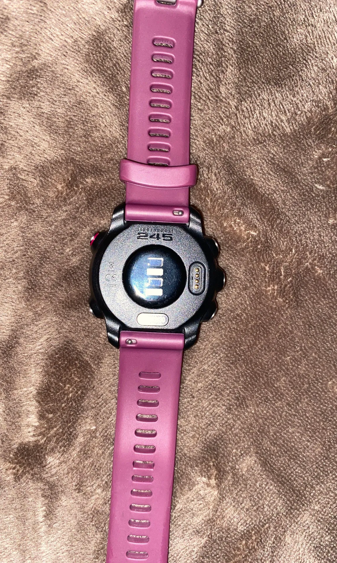 Garmin Forerunner 245 - Image 2