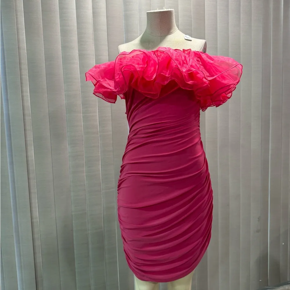 AMTIOUS ruffle mesh pink dress✨ Size L - Image 5