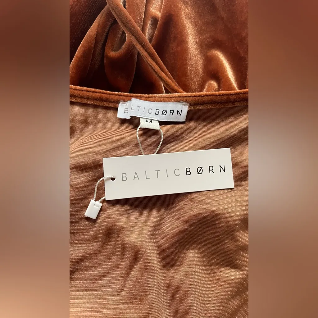 Baltic Born Velvet Maxi Dress in Copper
Meghan Velvet Wrap Maxi
Dress - Image 6