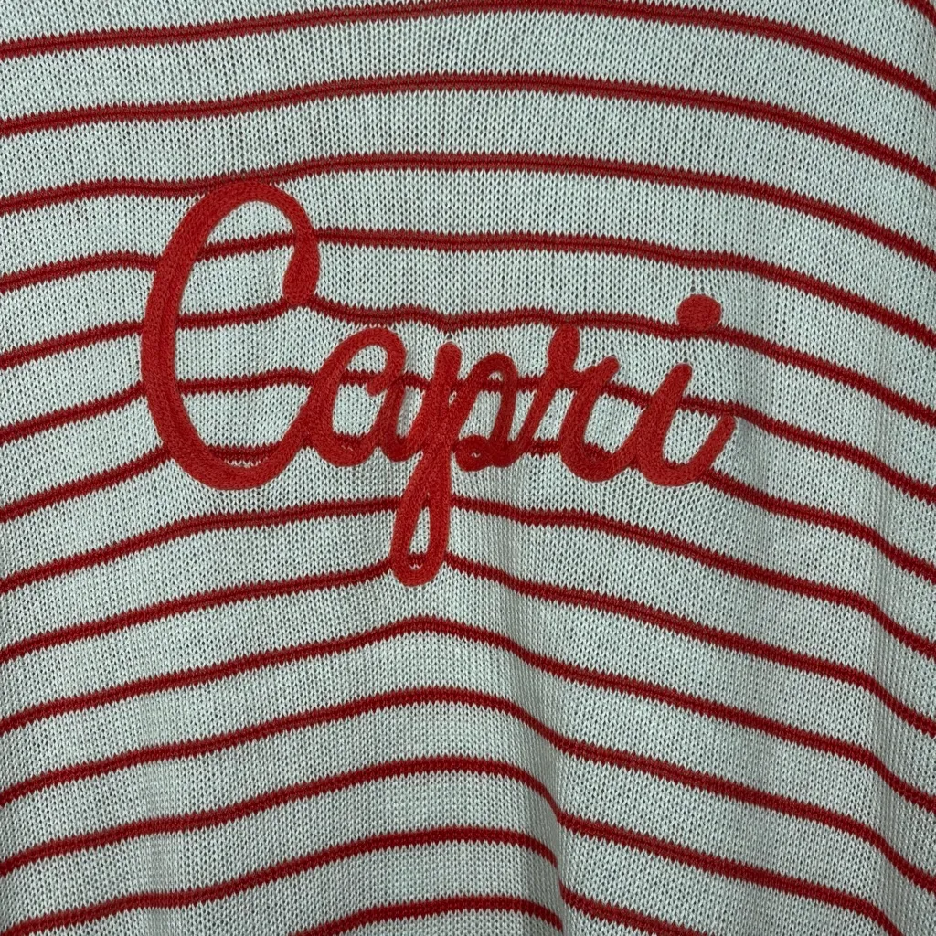 Adrienne Vittadini Capri Striped Knit Sweater Size Large - Image 8