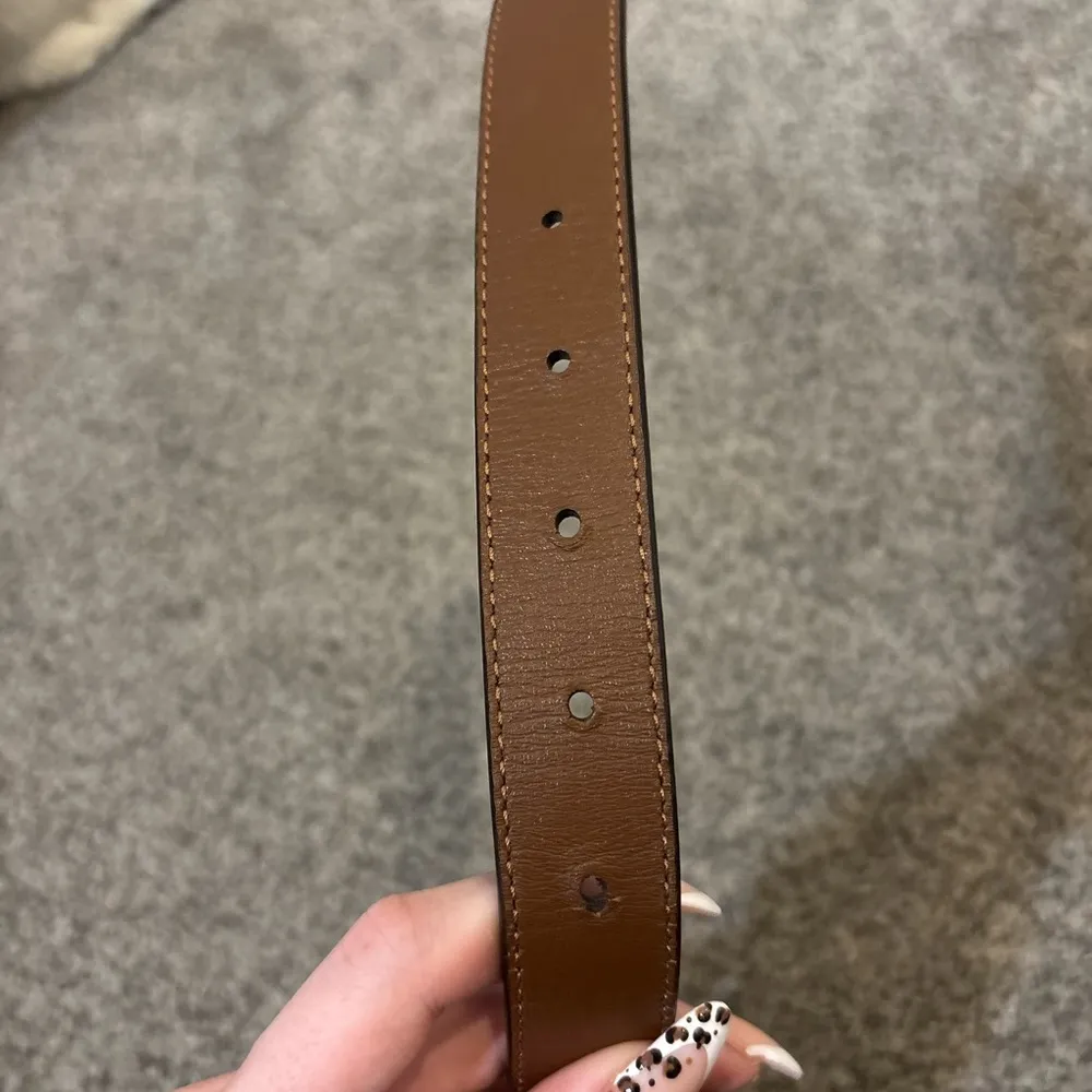 Coach  Signature Canvas Belt - Image 6