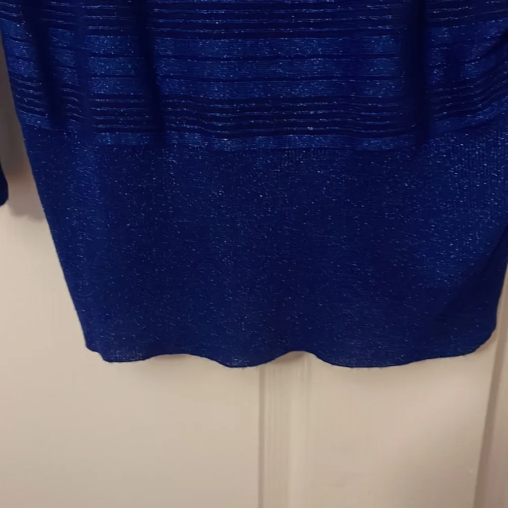 Jaclyn Smith  Blue Sparkle Sweater - Image 3