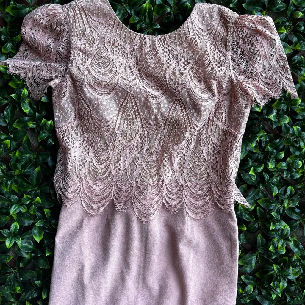 Elegant Pink (Dress The Population) Kenna
Lace Popover Bodice - Image 5