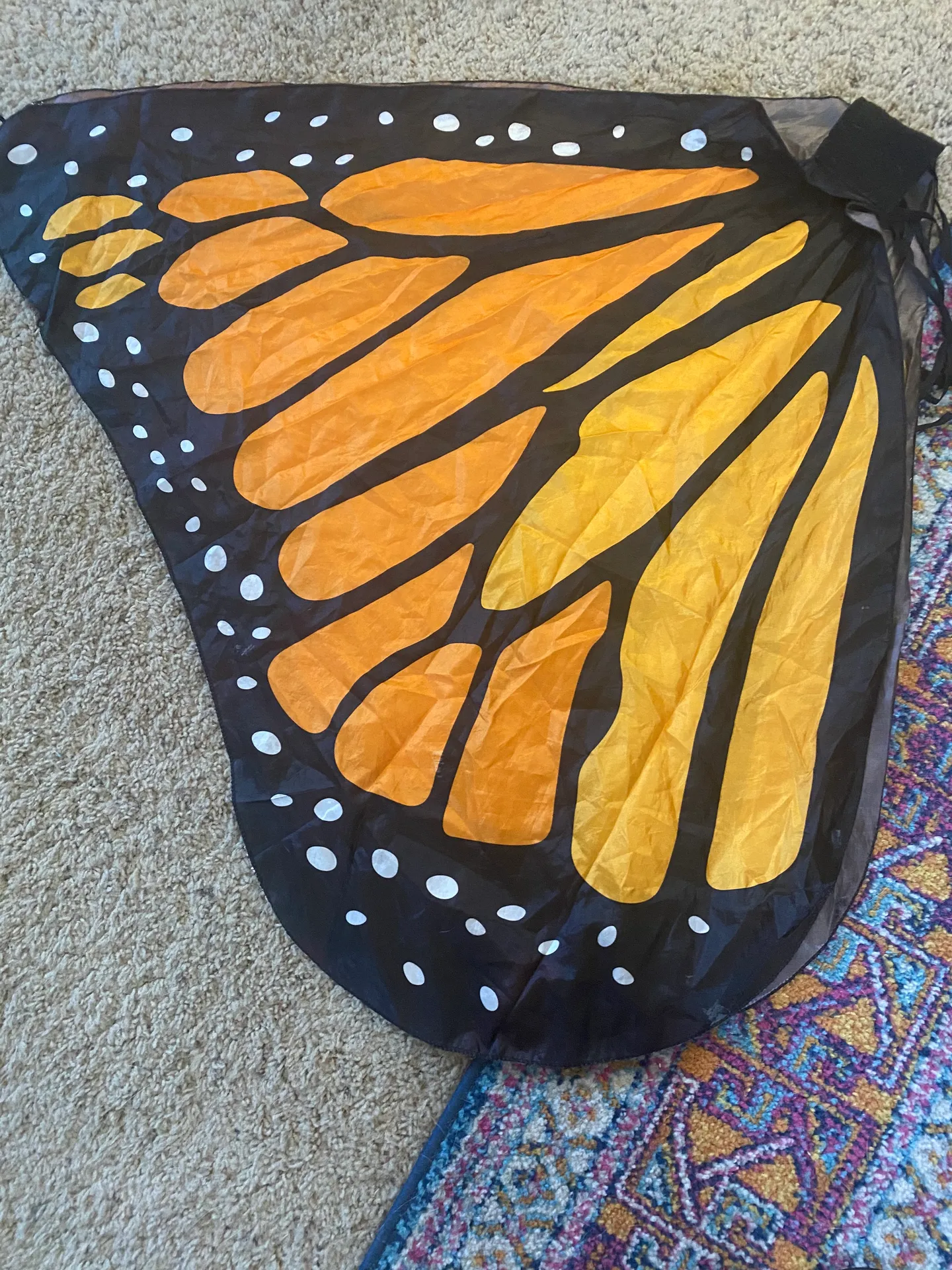 Monarch Butterfly Wings Costume Orange - Image 4