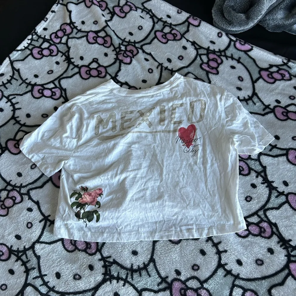 Aero Mexico crop - Image 5