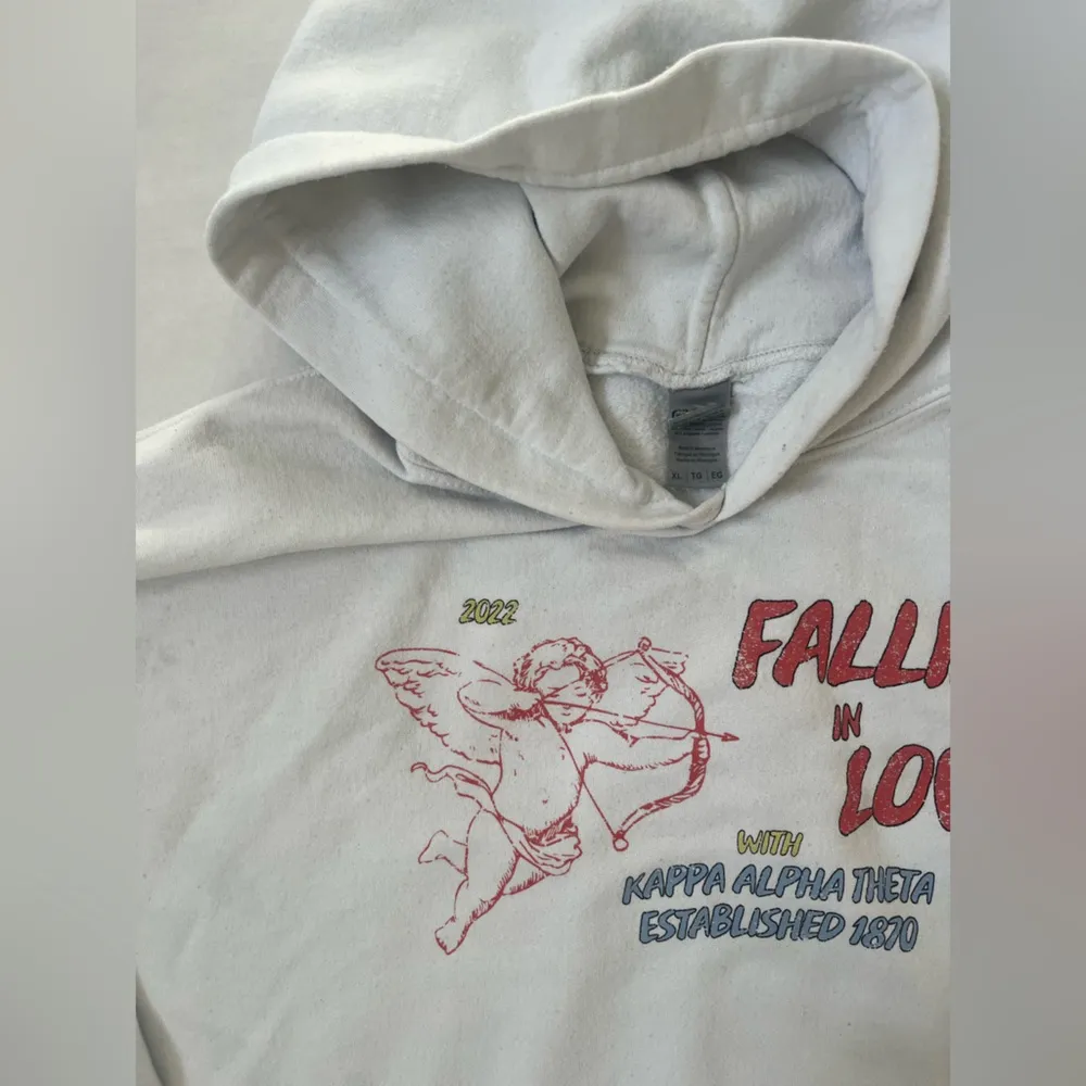 Theta Gildan “Falling in Love” Hoodie - Image 3