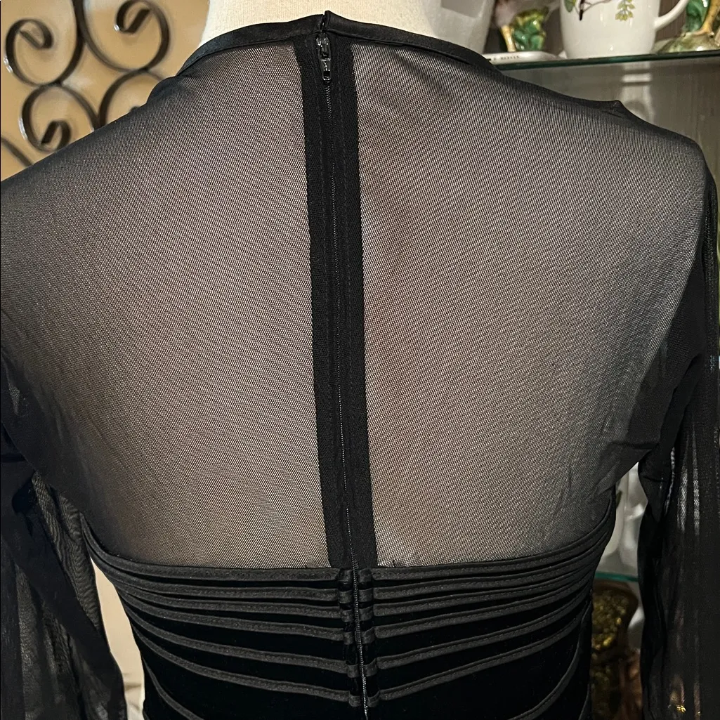 Vintage Tadashi velvet mesh sheer corset style size L - Image 6